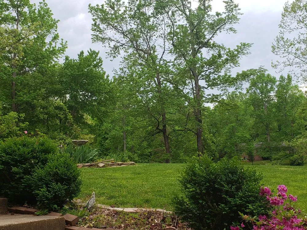 Trusted lawn mowing service in Waldorf, MD - Grass PRO