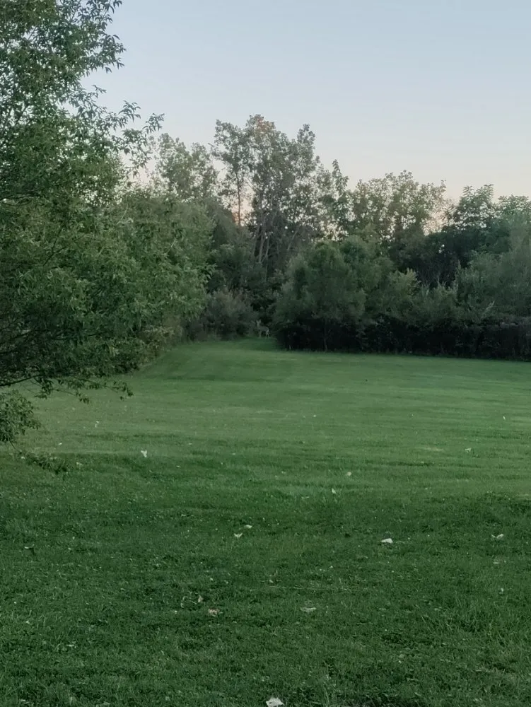 Custom yard maintenance in Auburn Hills, MI - Grass Pros