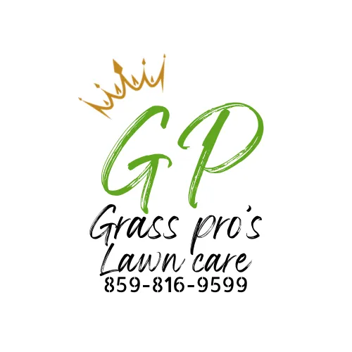 Expert landscape design for residential properties across Ghent, KY - Grass Pros