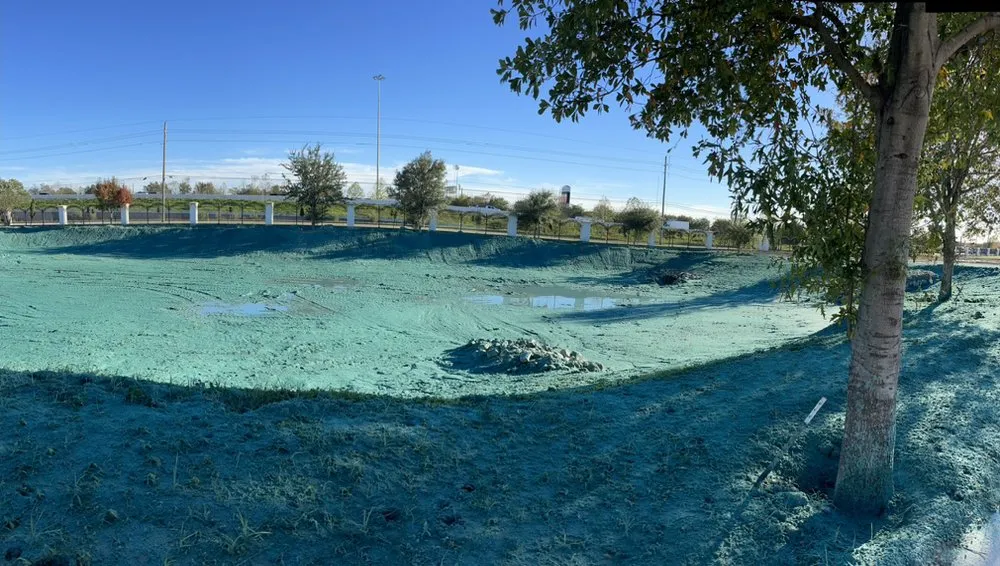 Trusted lawn mowing service in Houston, TX by Grass Pros Hydroseeding