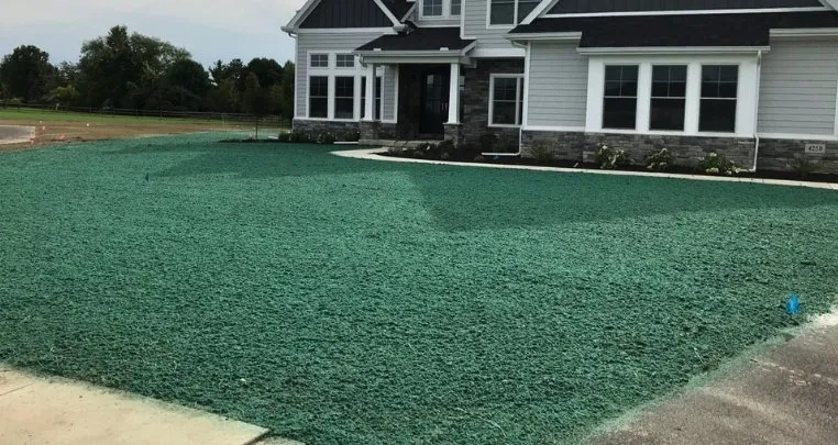 Local outdoor landscaping in Houston, TX - Grass Pros Hydroseeding