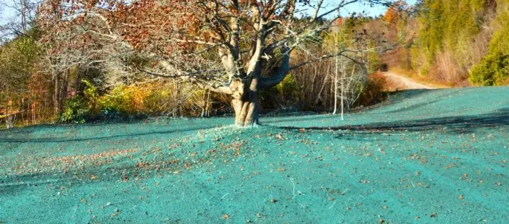 Professional lawn care service in Houston, TX - Grass Pros Hydroseeding