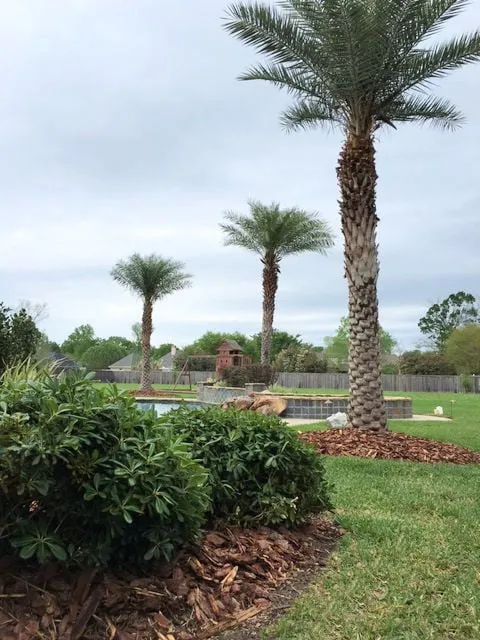 Local lawn care service experts serving Saint Amant, LA - Grass Rangers