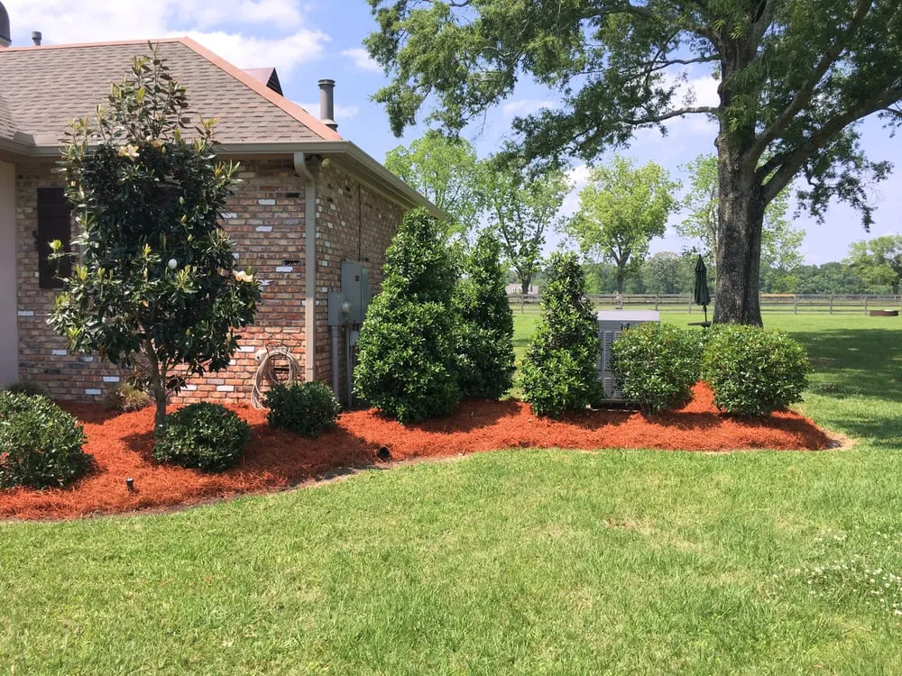Trusted lawn mowing service in Saint Amant, LA by Grass Rangers