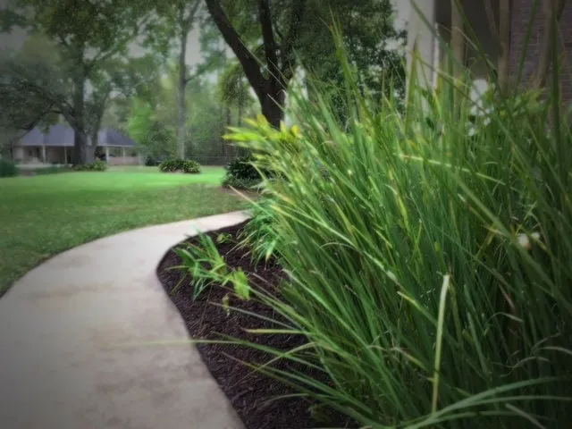 Professional yard cleanup service in Saint Amant, LA - Grass Rangers