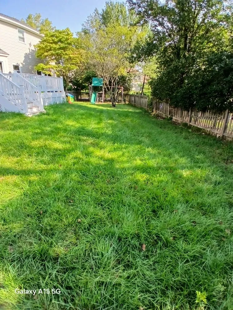 Reliable yard cleanup service experts serving Gaithersburg, MD - Grass Reapers Landscaping