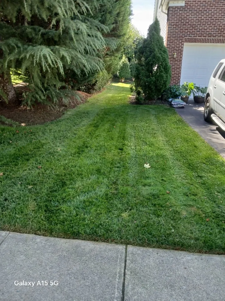 Reliable yard maintenance for residential properties across Gaithersburg, MD - Grass Reapers Landscaping