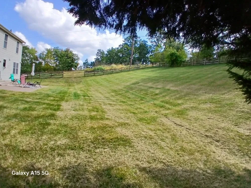 Trusted yard cleanup service with custom design in Gaithersburg, MD by Grass Reapers Landscaping