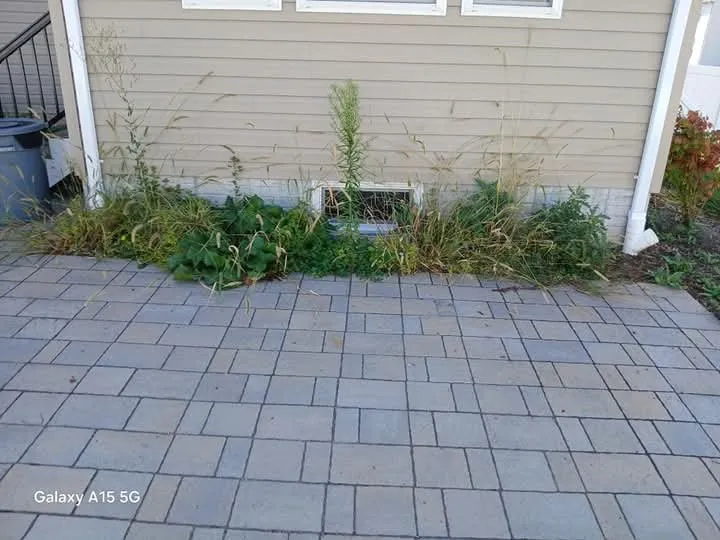 Custom garden landscaping in Gaithersburg, MD by Grass Reapers Landscaping