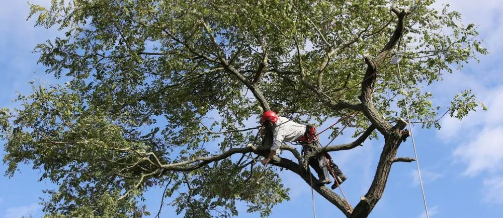 Trusted garden landscaping experts serving Fort Lauderdale, FL - Grass Roots Complete