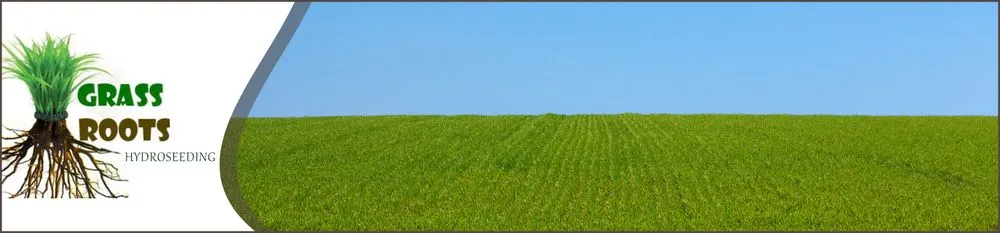 Affordable residential landscaping in Bryan, TX by Grass Roots HydroSeeding