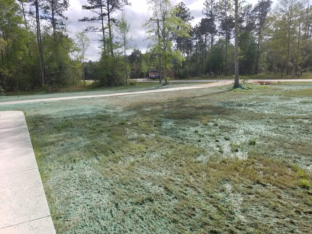 Professional yard maintenance experts serving Bryan, TX - Grass Roots HydroSeeding