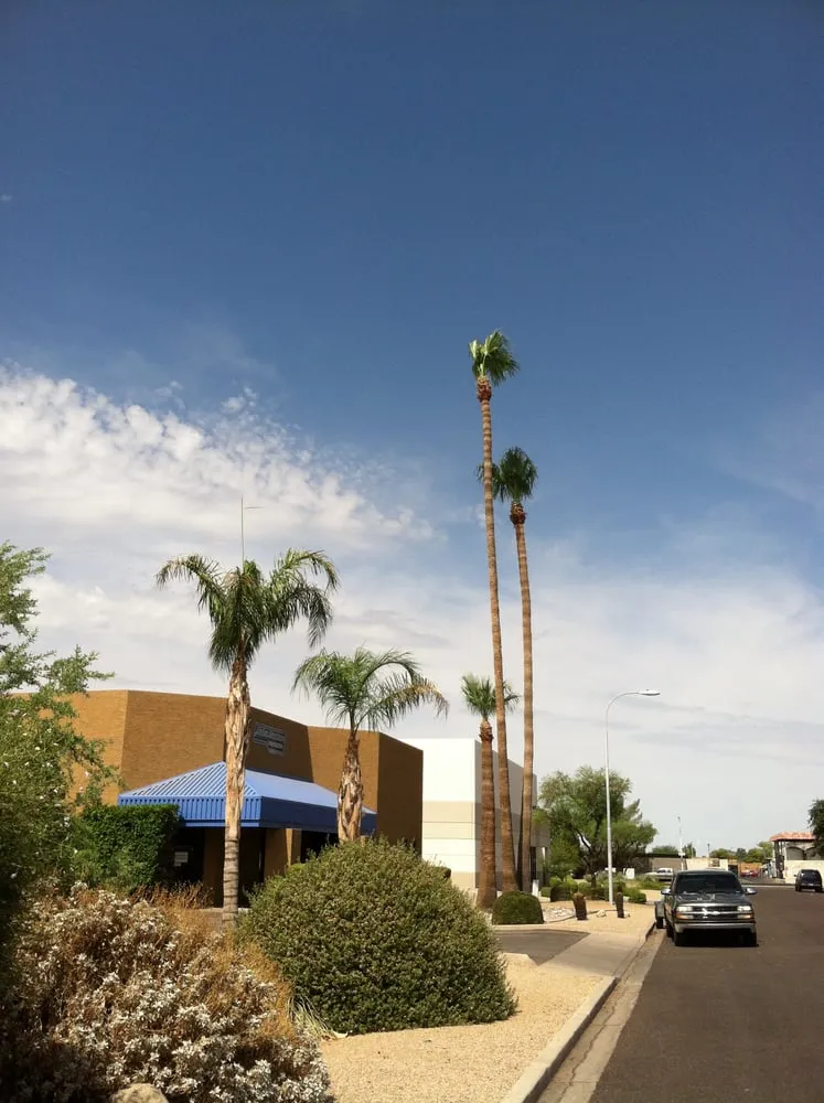 Top-rated lawn care service in Chandler, AZ - Grass Roots Landscape