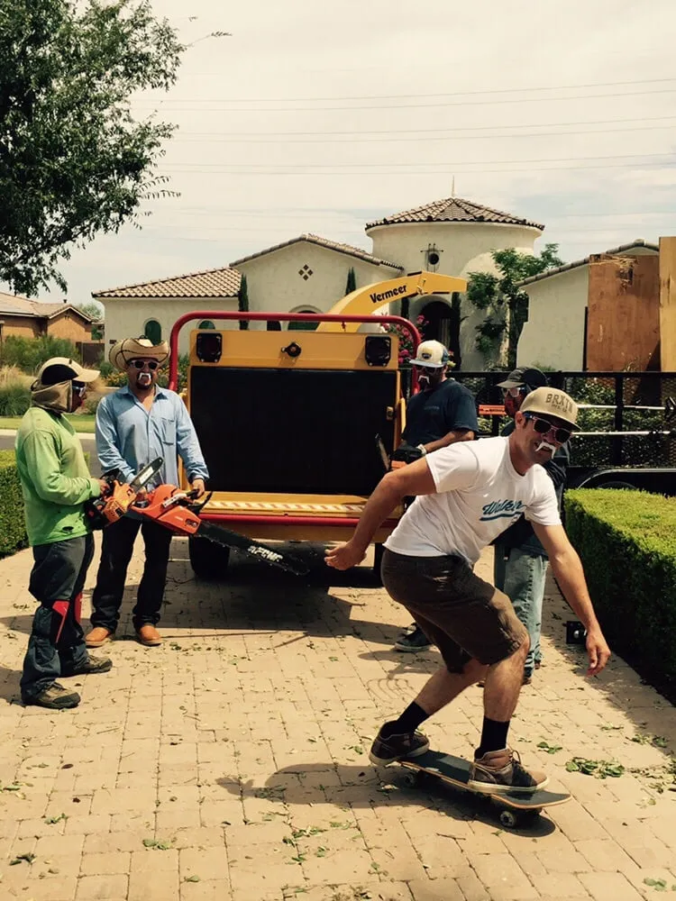 Custom landscape installation experts serving Chandler, AZ - Grass Roots Landscape