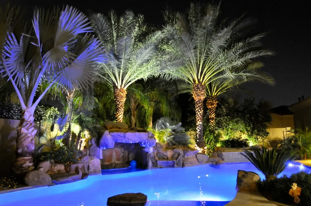 Custom yard cleanup service in Chandler, AZ - Grass Roots Landscape