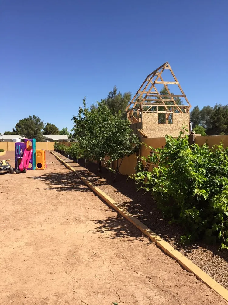 Expert outdoor landscaping for beautiful yards across Chandler, AZ - Grass Roots Landscape