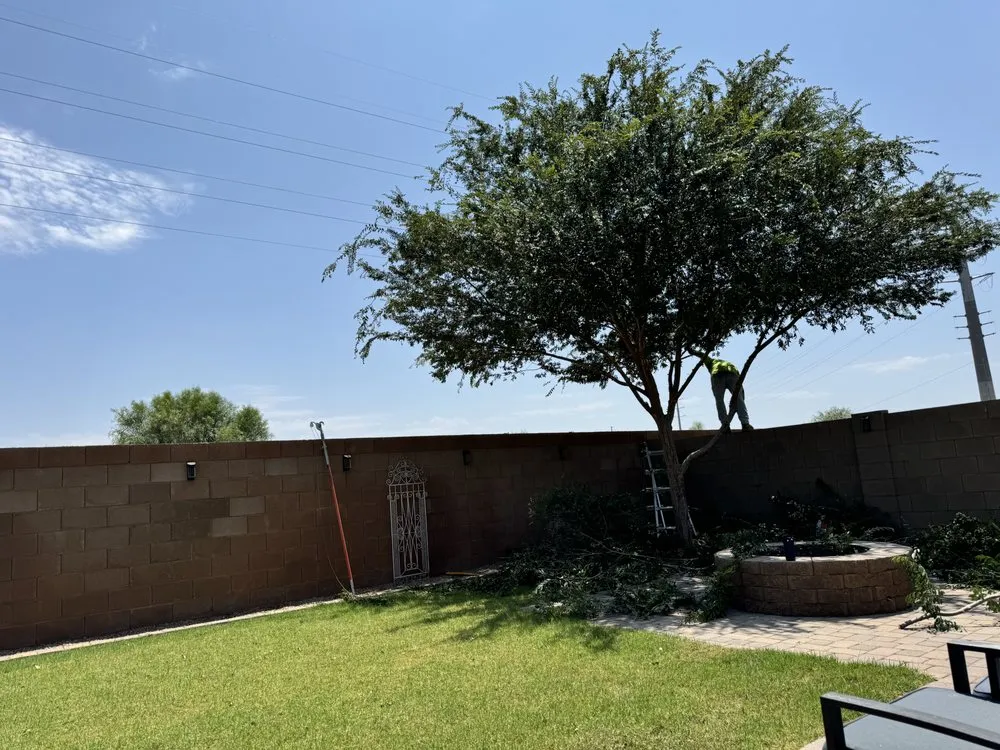 Local garden landscaping in Chandler, AZ - Grass Roots Landscape