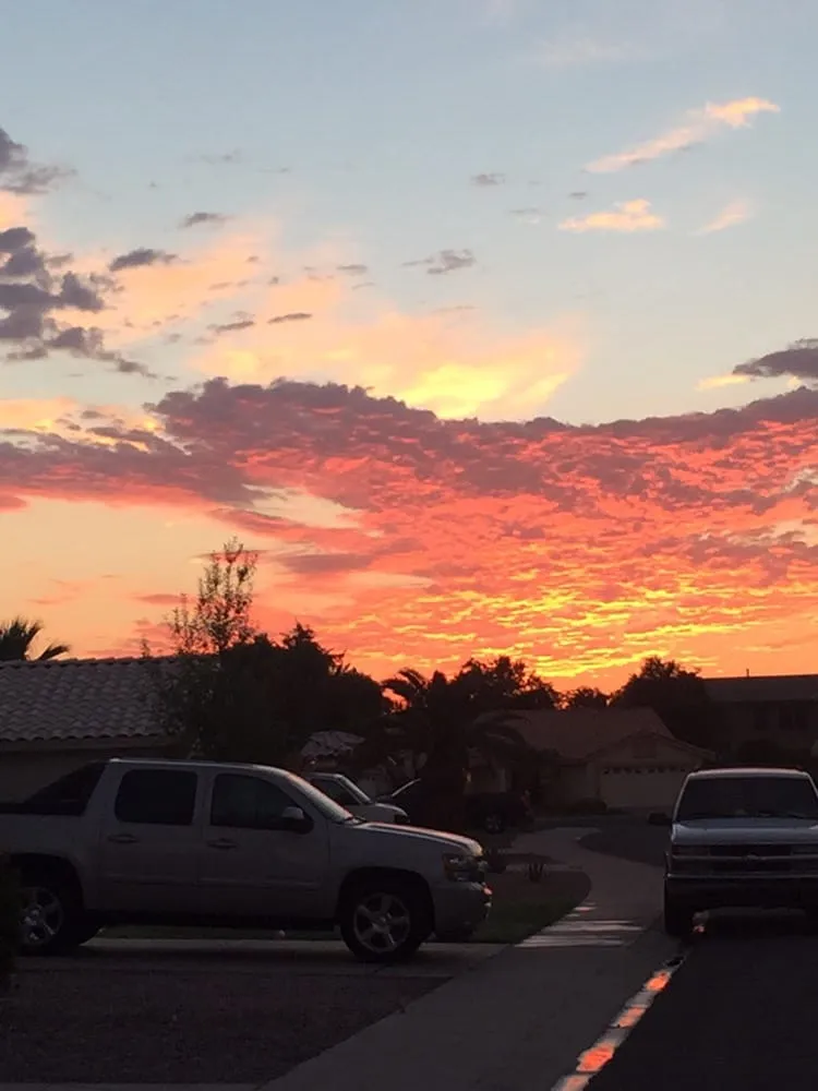 Affordable landscaping services for year-round maintenance across Chandler, AZ - Grass Roots Landscape