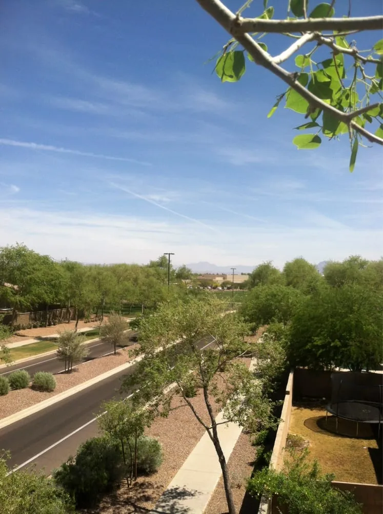 Affordable yard cleanup service in Chandler, AZ by Grass Roots Landscape