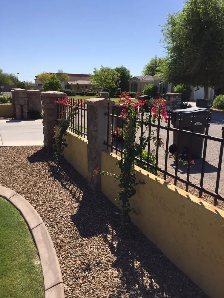Affordable garden landscaping near you across Chandler, AZ - Grass Roots Landscape