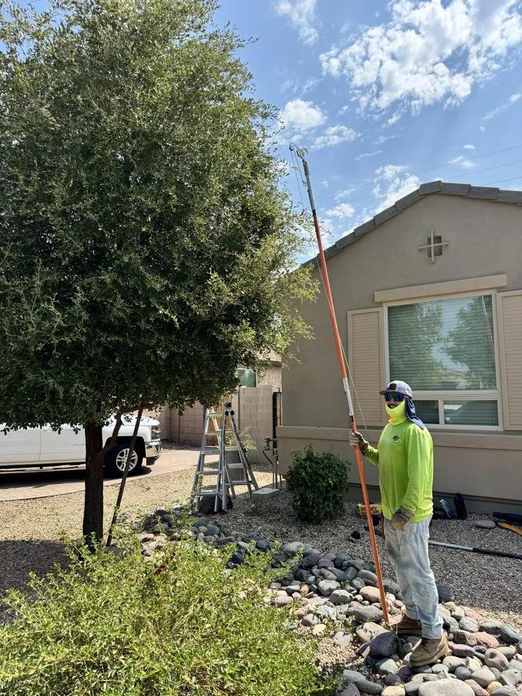 Reliable yard maintenance in Chandler, AZ by Grass Roots Landscape