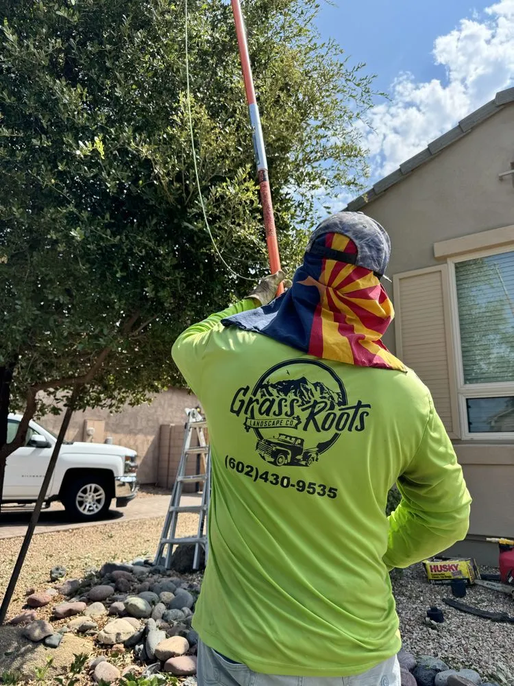 Reliable landscaping services in Chandler, AZ by Grass Roots Landscape