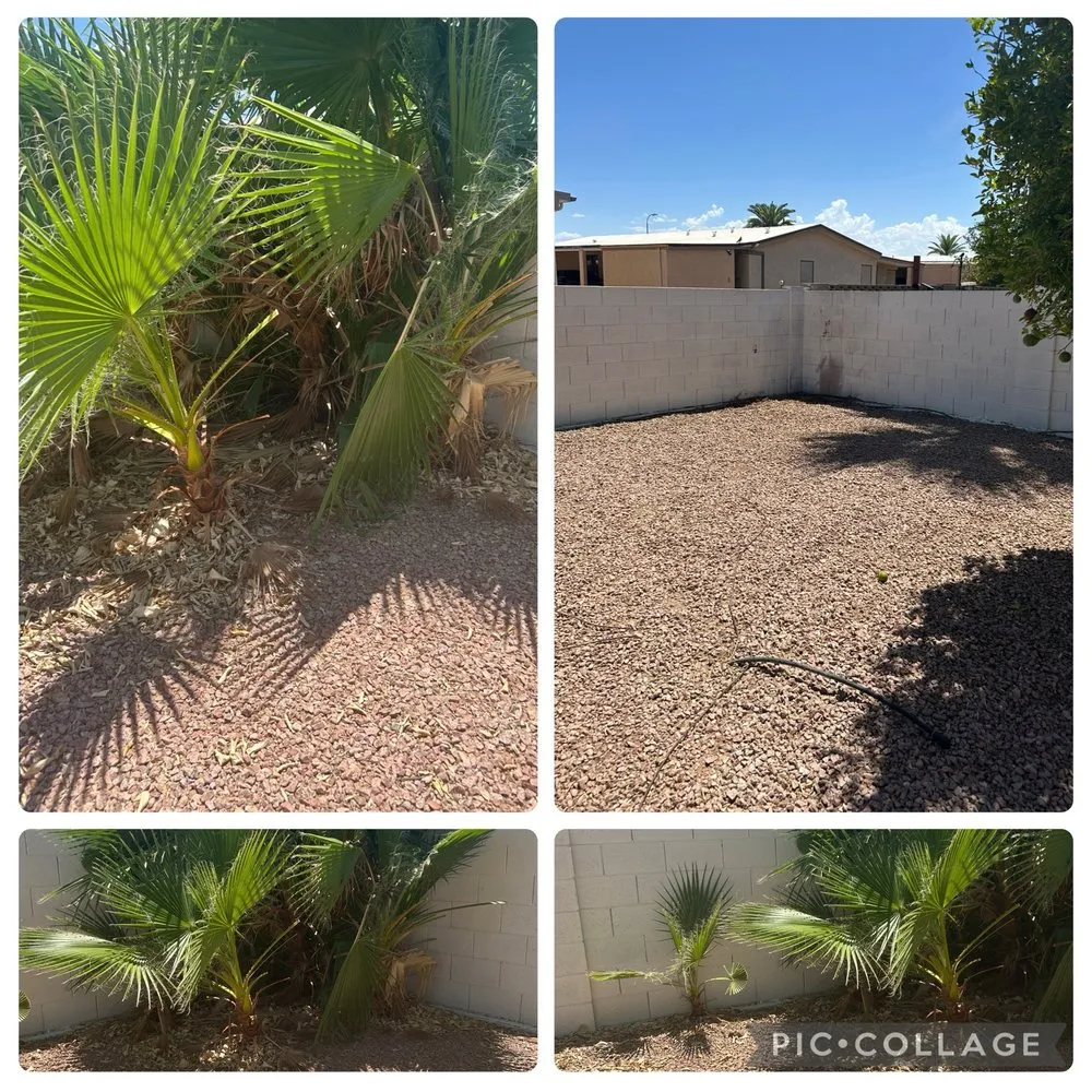 Affordable landscaping services for residential properties across Chandler, AZ - Grass Roots Landscape