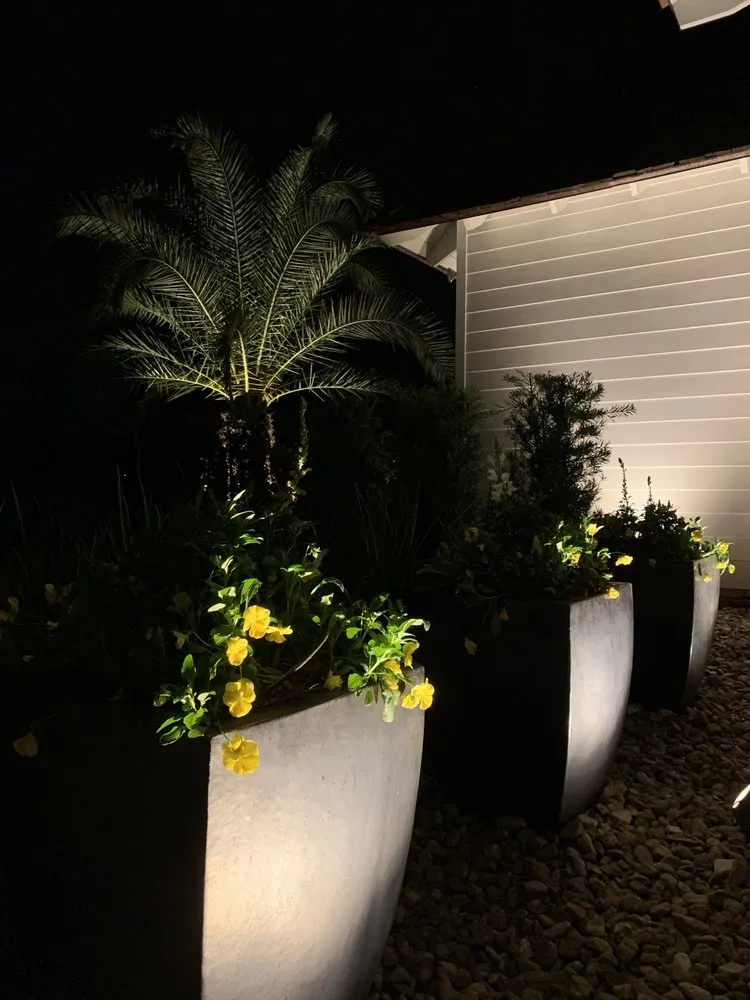 Expert yard cleanup service experts serving Lafayette, LA - Grass Roots Landscape