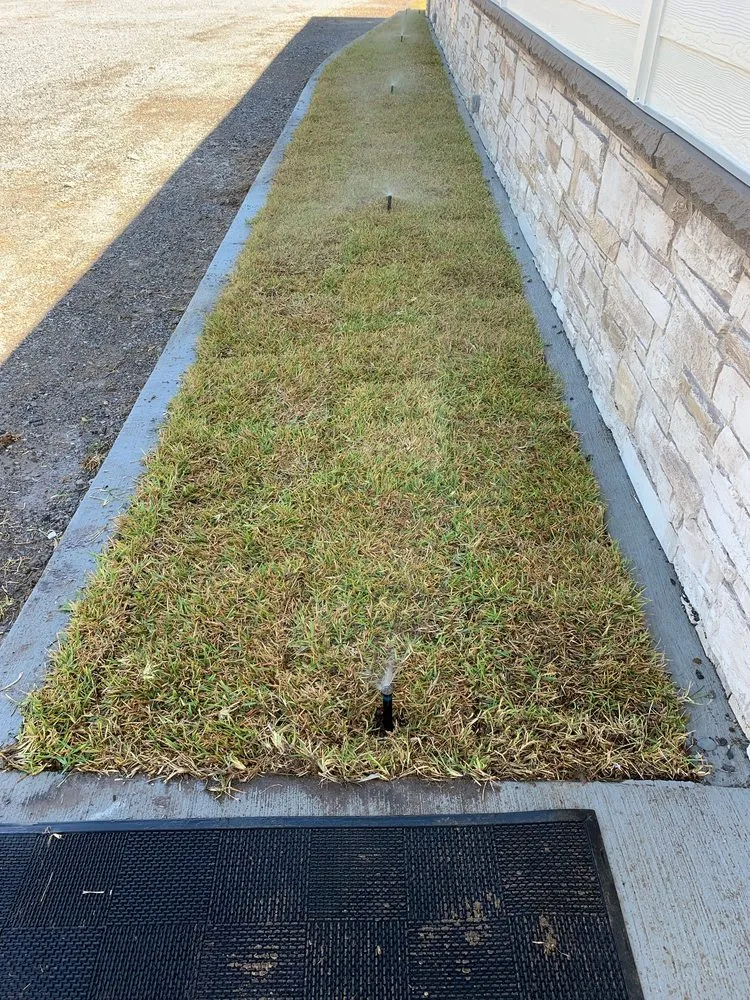 Expert landscaping services experts serving Lafayette, LA - Grass Roots Landscape