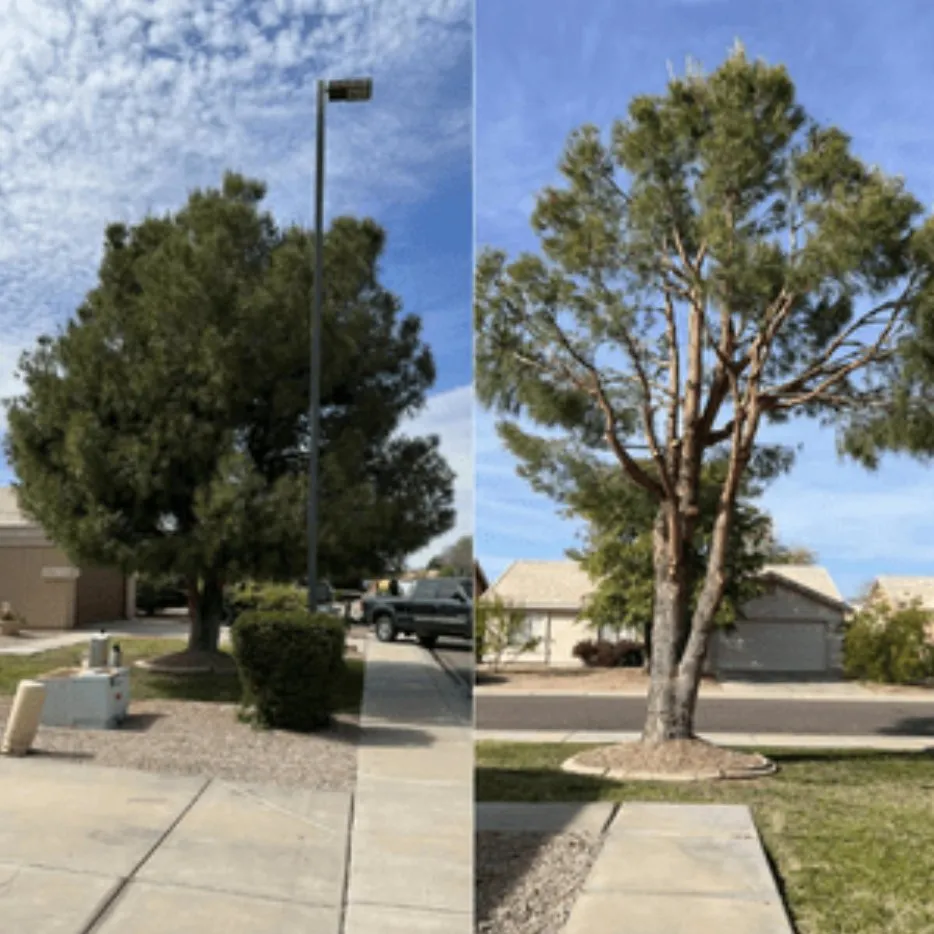 Reliable yard maintenance experts serving Payson, AZ - Grass Roots Landscape