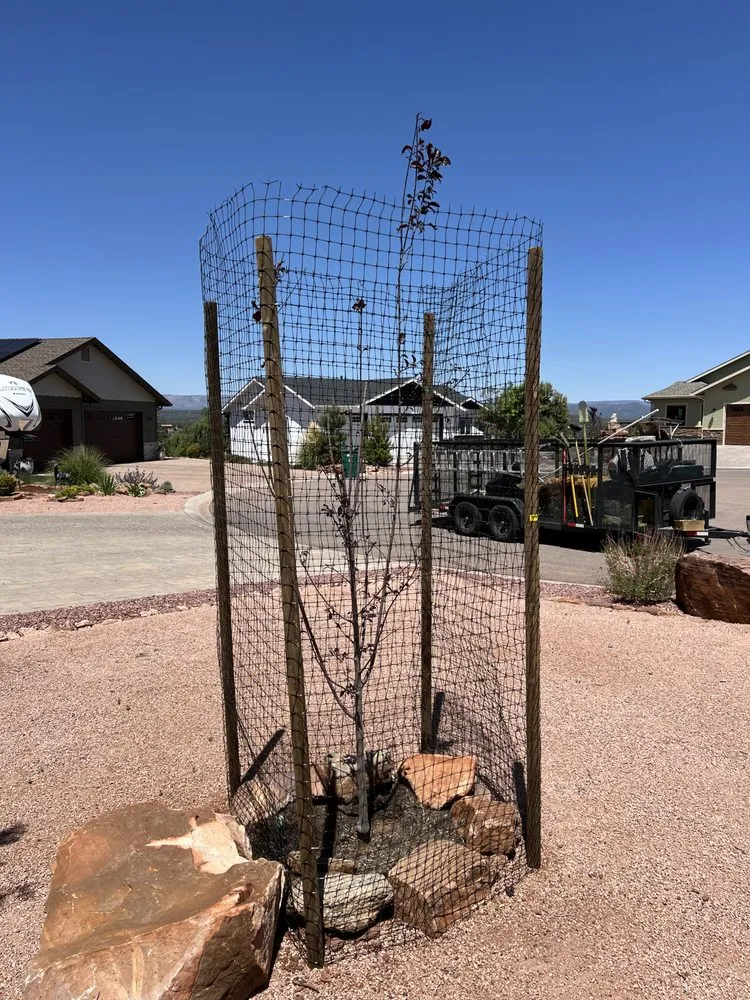 Top-rated landscape installation in Payson, AZ - Grass Roots Landscape