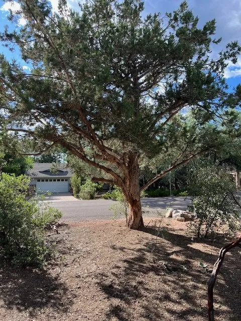 Professional yard cleanup service in Payson, AZ - Grass Roots Landscape