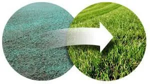 Custom residential landscaping for year-round maintenance in Le Mars, IA by Grass Roots Landscaping & Lawn Care