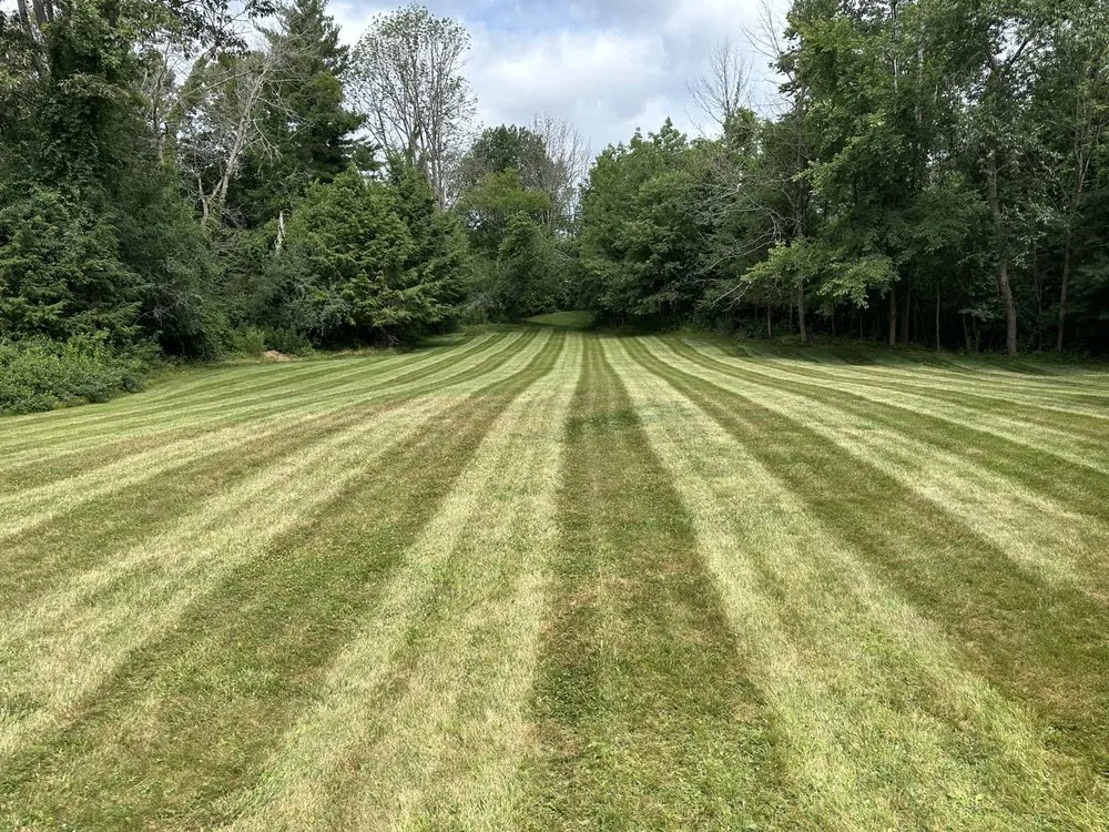 Trusted yard cleanup service for year-round maintenance in West Newbury, MA by Grass Roots Landscaping
