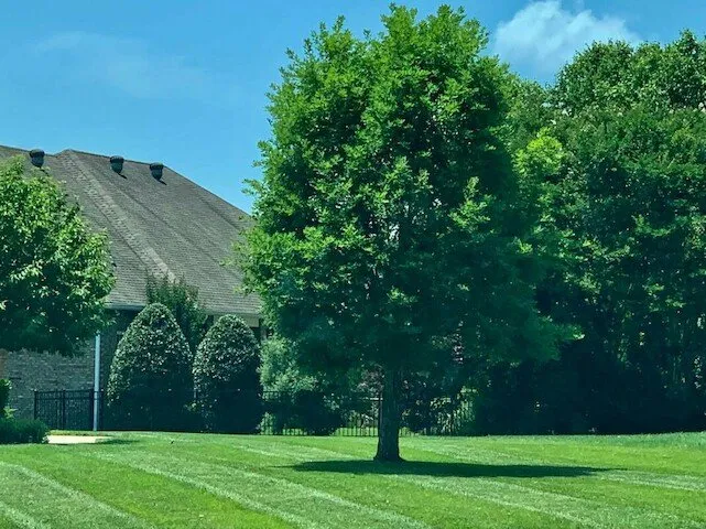 Expert landscape design for residential properties across Clarksville, TN - Grass Roots Lawn Care