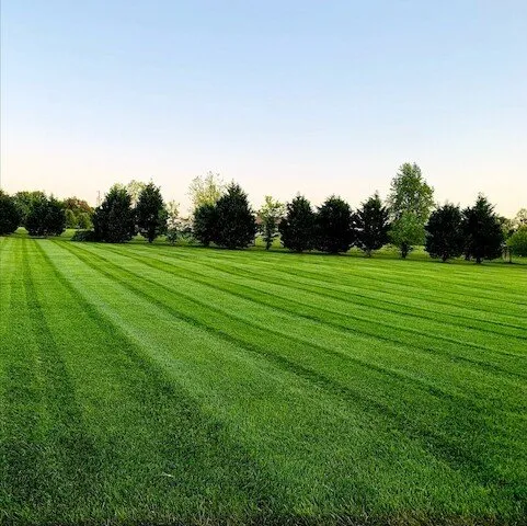 Reliable landscape installation for year-round maintenance in Clarksville, TN by Grass Roots Lawn Care
