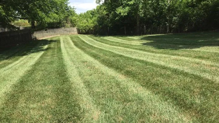 Top-rated landscape design for outdoor upgrades across Clarksville, TN - Grass Roots Lawn Care