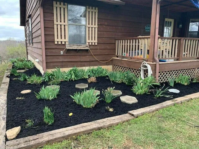 Top-rated yard cleanup service experts serving Clarksville, TN - Grass Roots Lawn Care