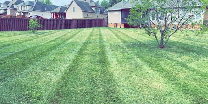 Trusted outdoor landscaping in Clarksville, TN by Grass Roots Lawn Care