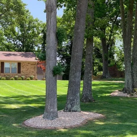 Trusted residential landscaping in Clarksville, TN - Grass Roots Lawn Care