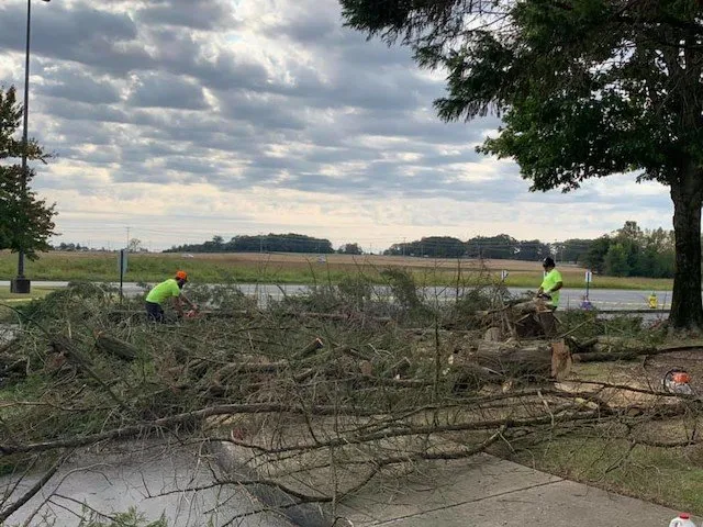 Professional landscape installation for residential properties across Clarksville, TN - Grass Roots Lawn Care