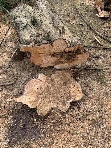 Local lawn mowing service in Clarksville, TN - Grass Roots Lawn Care