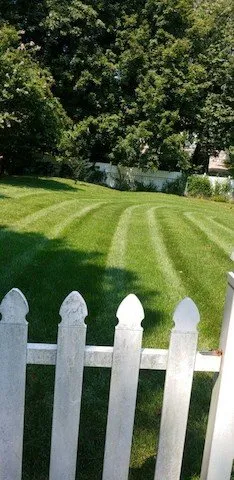 Affordable yard maintenance experts serving Clarksville, TN - Grass Roots Lawn Care