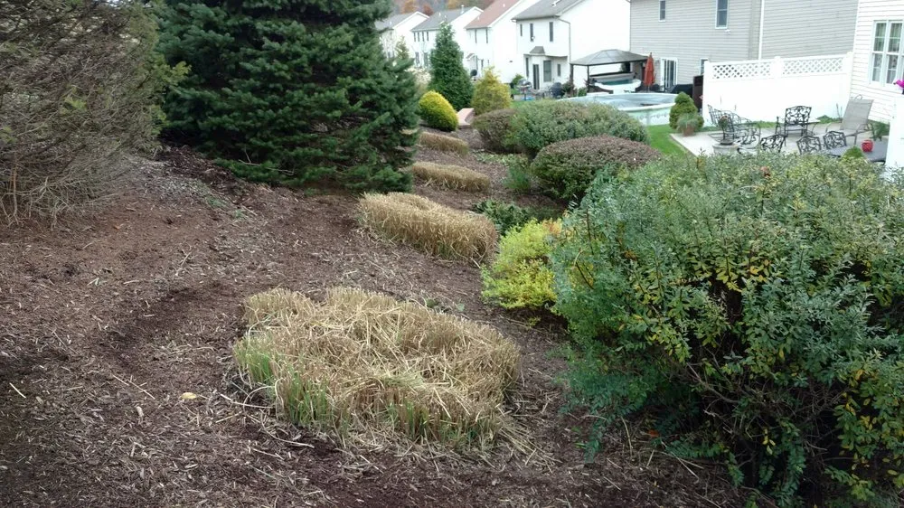 Reliable landscape design with custom design in Pittsburgh, PA by Grass Roots Lawn Care Service