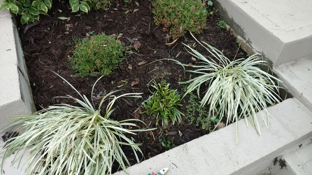 Custom landscape installation in Pittsburgh, PA by Grass Roots Lawn Care Service