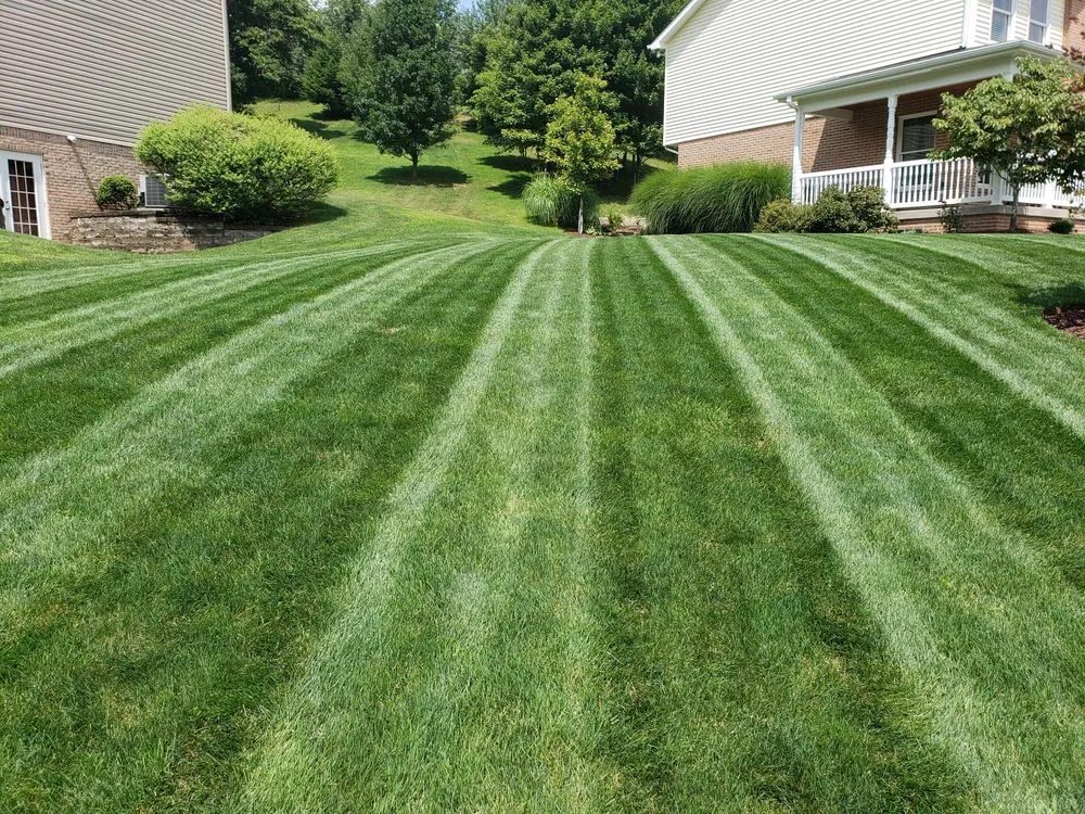 Professional yard cleanup service experts serving Pittsburgh, PA - Grass Roots Lawn Care Service