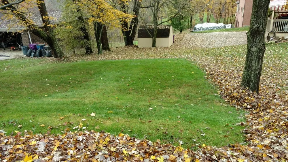 Trusted lawn care service near you across Pittsburgh, PA - Grass Roots Lawn Care Service