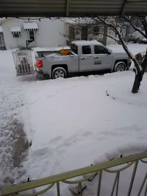 Grass Roots Lawn Care Service Logo