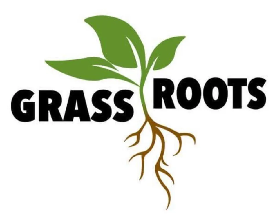 Local landscape design for outdoor upgrades across Washington, UT - Grass Roots Lawncare