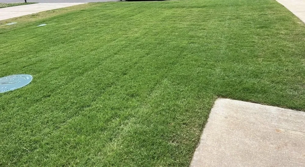 Reliable landscape installation in Margaret, AL by Grass Roots